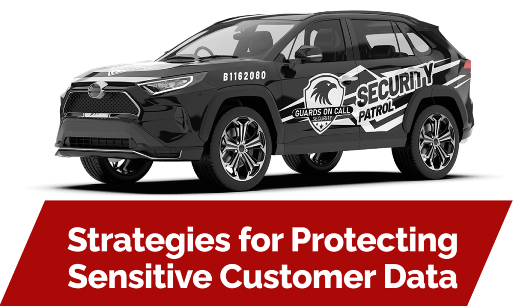 Strategies for Protecting Sensitive Customer Data
